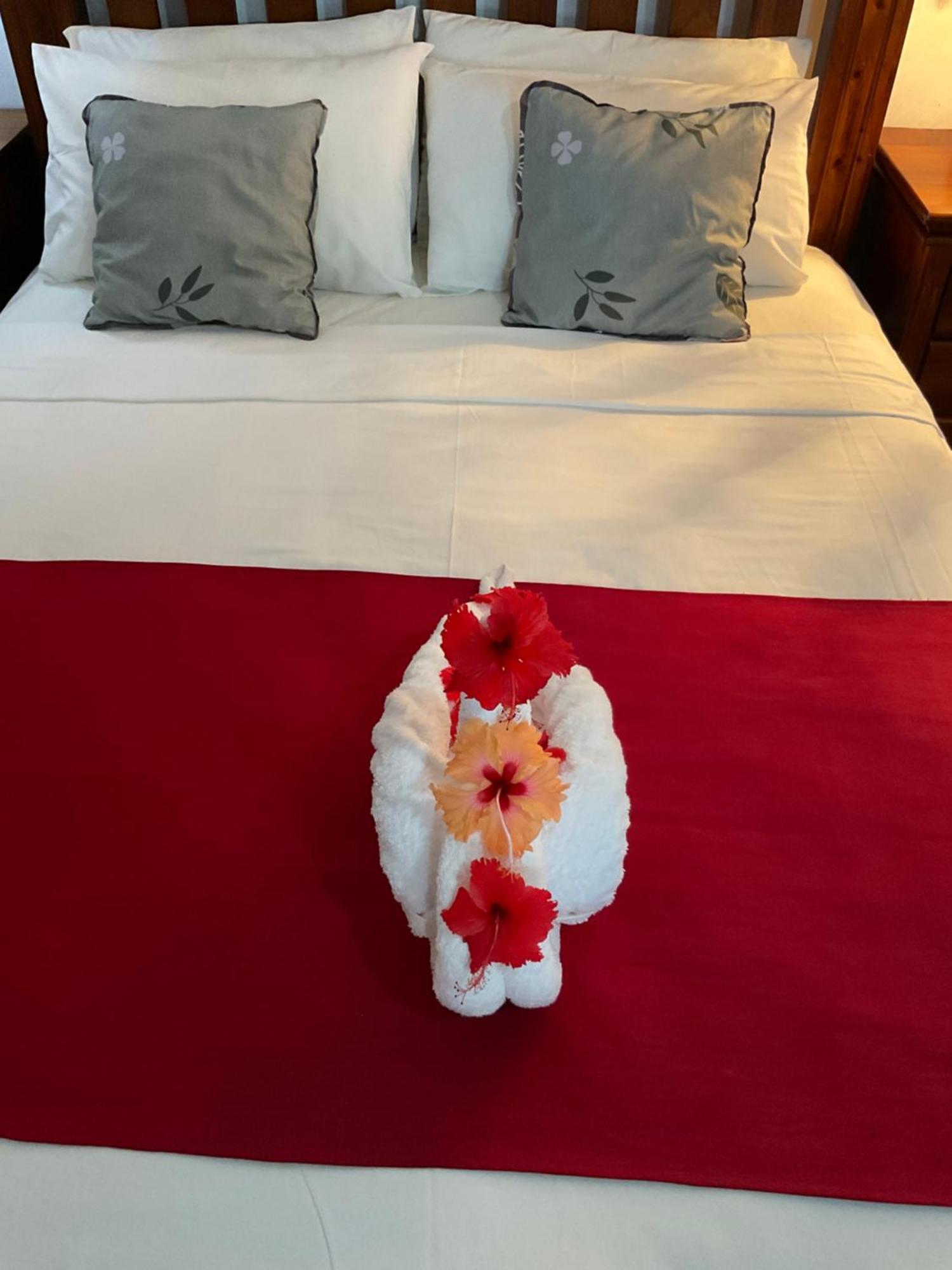 Le Chevalier Bay Guesthouse Ансе Лаціо Екстер'єр фото